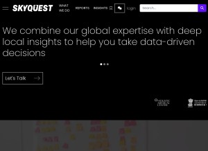 How skyquestt.com looks like on a tablet such as an iPad.
