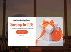 How skyroam.com looks like on a tablet such as an iPad.