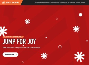 How skyzone.com looks like on a tablet such as an iPad.
