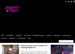 How slappedham.com looks like on a tablet such as an iPad.