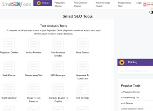 How smallseotools.com looks like on a tablet such as an iPad.