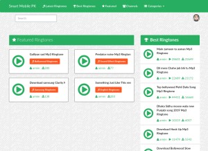 How smartmobilepk.com looks like on a tablet such as an iPad.