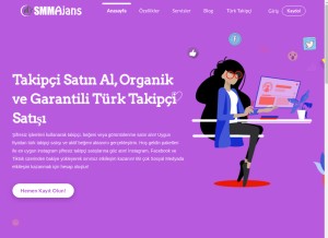 How smmajans.com looks like on a tablet such as an iPad.