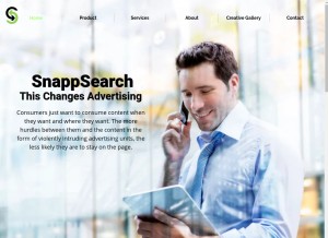 How snappsearch.com looks like on a tablet such as an iPad.