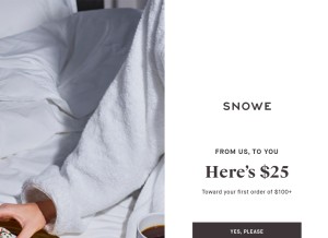 How snowehome.com looks like on a tablet such as an iPad.