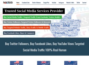 How socialmediacore.com looks like on a tablet such as an iPad.