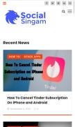 How socialsingam.com looks like on a mobile device such as an iPhone.