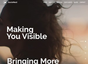 How socionest.com looks like on a tablet such as an iPad.