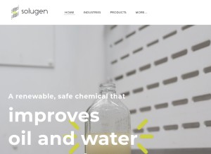 How solugentech.com looks like on a tablet such as an iPad.