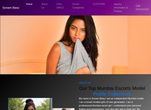 How sonambasu.com looks like on a tablet such as an iPad.