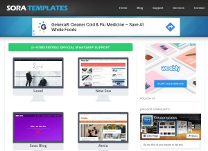 How soratemplates.com looks like on a tablet such as an iPad.
