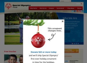 How specialolympicsflorida.org looks like on a tablet such as an iPad.