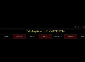 How specialsanya.com looks like on a tablet such as an iPad.