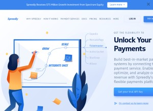 How spreedly.com looks like on a tablet such as an iPad.