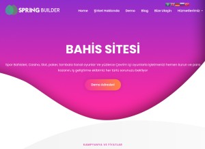 How springbuilder.net looks like on a tablet such as an iPad.