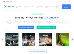 How squadhelp.com looks like on a tablet such as an iPad.