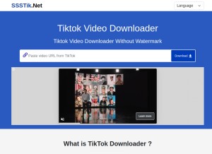 How ssstik.net looks like on a tablet such as an iPad.