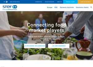 How stef.com looks like on a tablet such as an iPad.