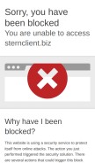How sternclient.biz looks like on a mobile device such as an iPhone.