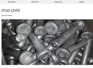 How studcivisi.com looks like on a tablet such as an iPad.