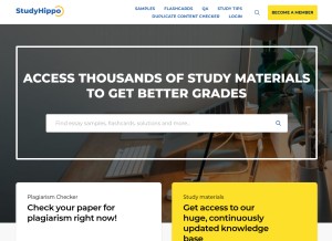 How studyhippo.com looks like on a tablet such as an iPad.