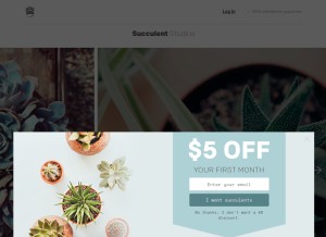 How succulent.studio looks like on a tablet such as an iPad.