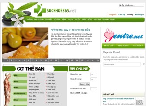 How suckhoe365.net looks like on a tablet such as an iPad.