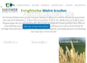 How sukower.de looks like on a tablet such as an iPad.
