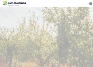 How sumolcompal.pt looks like on a tablet such as an iPad.