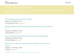 How sunnybmt.store looks like on a tablet such as an iPad.