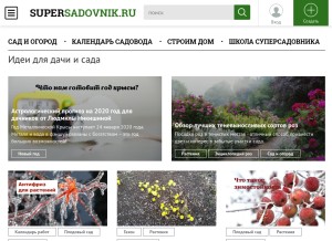 How supersadovnik.ru looks like on a tablet such as an iPad.