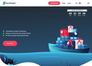 How surfshark.com looks like on a tablet such as an iPad.