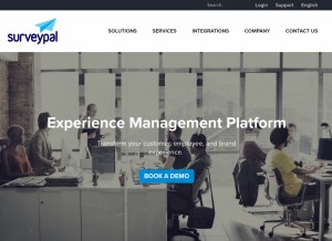 How surveypal.com looks like on a tablet such as an iPad.