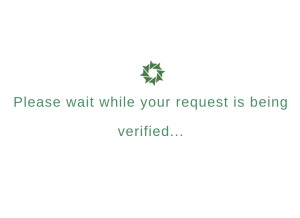How swattransport.ae looks like on a tablet such as an iPad.