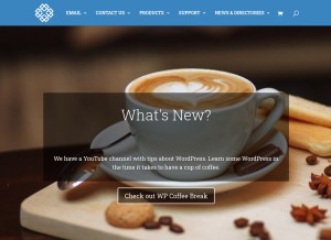 How swcp.com looks like on a tablet such as an iPad.