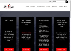 How syringanetworks.net looks like on a tablet such as an iPad.