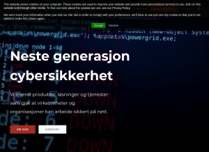 How systempartner.no looks like on a tablet such as an iPad.