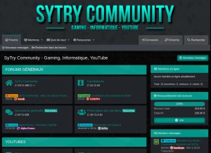 How sytrycommunity.fr looks like on a tablet such as an iPad.