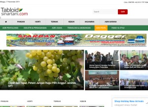 How tabloidsinartani.com looks like on a tablet such as an iPad.