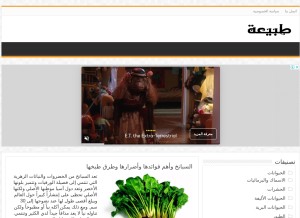 How taby3a.com looks like on a tablet such as an iPad.