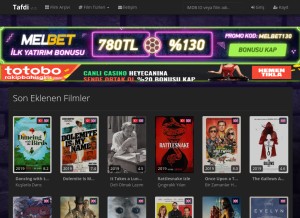 How tafdi.org looks like on a tablet such as an iPad.