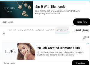 How taisha-diet.com looks like on a tablet such as an iPad.