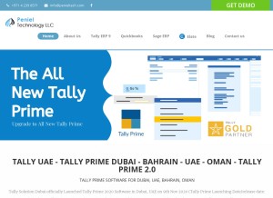 How tallyerp9dubai.com looks like on a tablet such as an iPad.