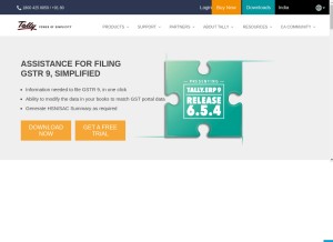 How tallysolutions.com looks like on a tablet such as an iPad.