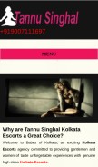 How tannusinghal.in looks like on a mobile device such as an iPhone.