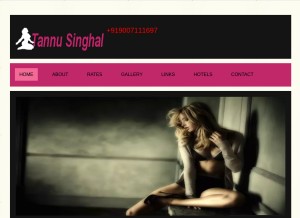 How tannusinghal.in looks like on a tablet such as an iPad.