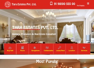 How taraestatespvtltd.com looks like on a tablet such as an iPad.