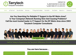 How tarrytech.com looks like on a tablet such as an iPad.