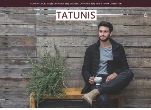 How tatunis.com looks like on a tablet such as an iPad.