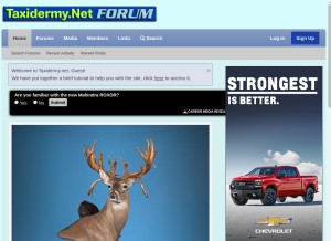 How taxidermy.net looks like on a tablet such as an iPad.